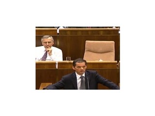 SNS bude hlasovať proti eurovalu a súčasnej vláde