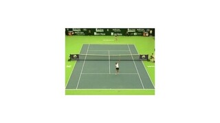 Dominika Cibulková postúpila do finále dvojhry