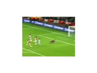 Arsenal neobháji finálovú účasť v anglickom Carling Cupe