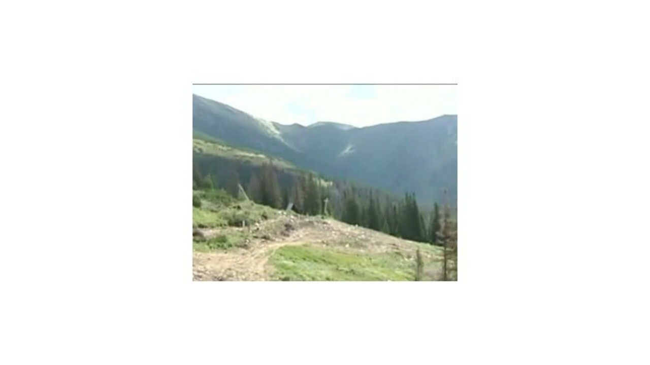 Na Šumave žijú rádioaktívne diviaky