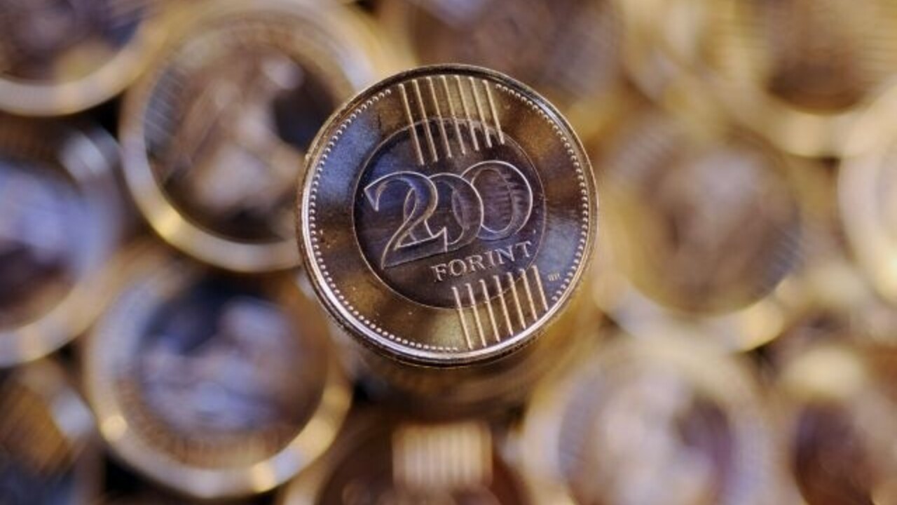forint-madarsko-sita