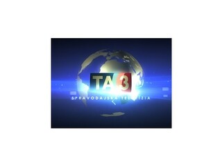 Česká protikorupčná polícia chce obviniť šéfa poslancov VV Víta Bártu