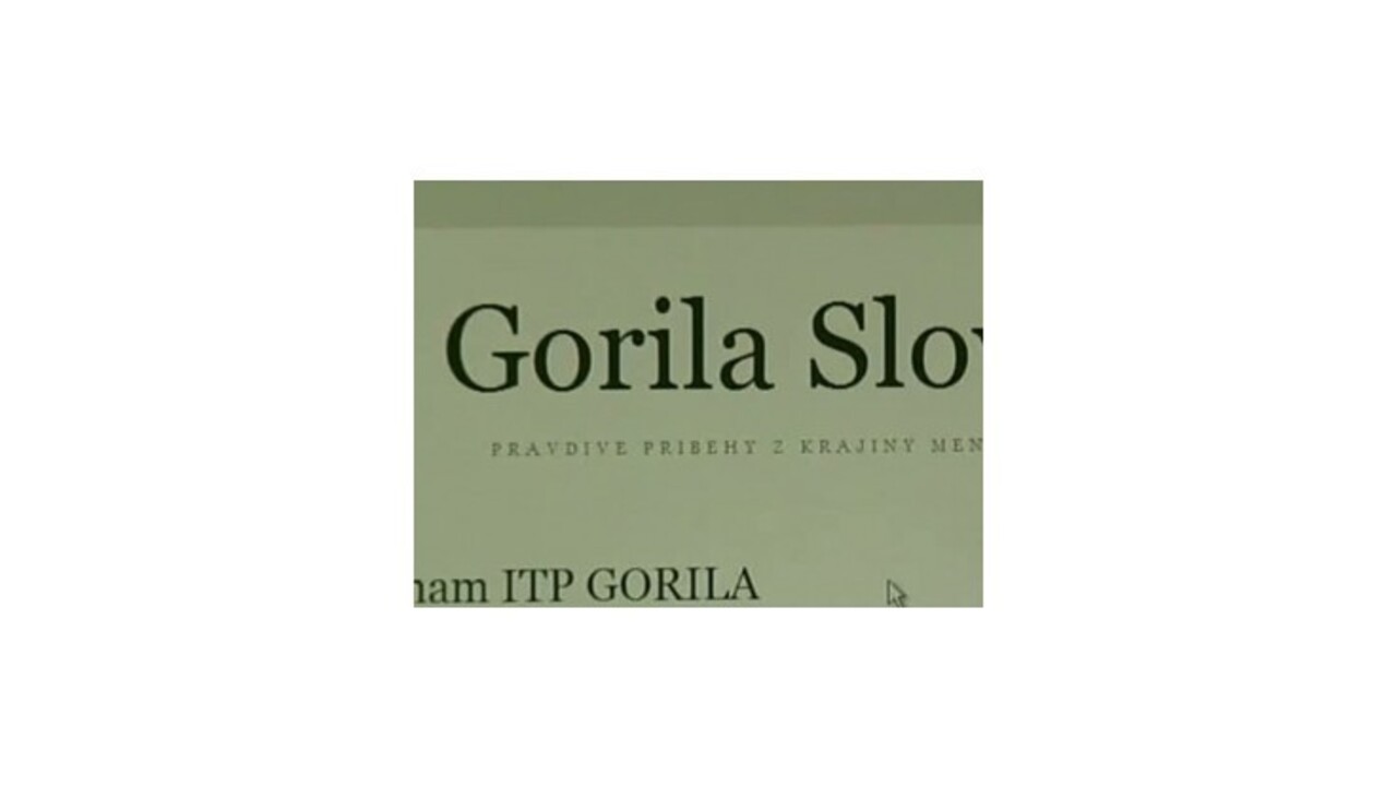 Hnutie 99% chce komisiu na dozor nad kauzou Gorila a dva nové úrady