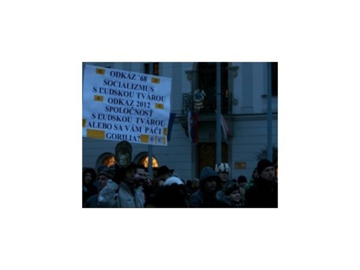 Organizátori protestu Gorila predstavili štyri požiadavky