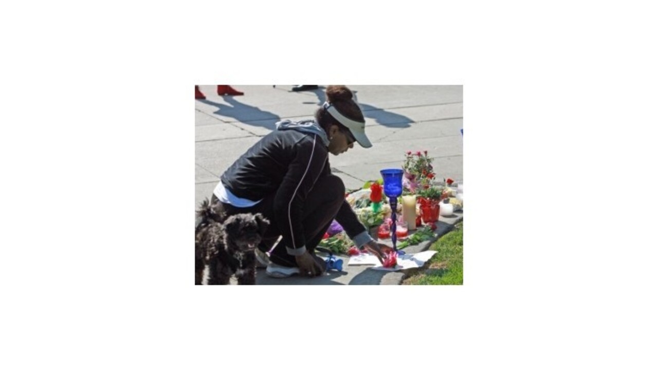 Pitva Whitney Houstonovej nepreukázala cudzie zavinenie smrti