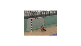 WHIL: Nitra-Sereď - Písek 34:49