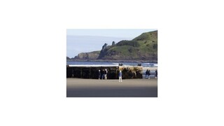 K USA doplával prístavný dok odtrhnutý pri japonskom cunami