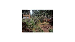 Smršť na východe strhávala strechy a vyvracala stromy