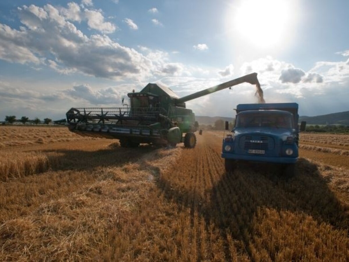 poľnohospodár poľnohospodárstvo agro žatva (SITA)