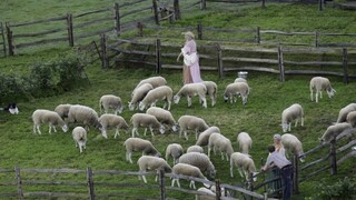 Zvieratá majú nedostatok krmiva. Hrozí, že ovčích výrobkov bude menej