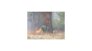 Grécky Chios je stále v plameňoch