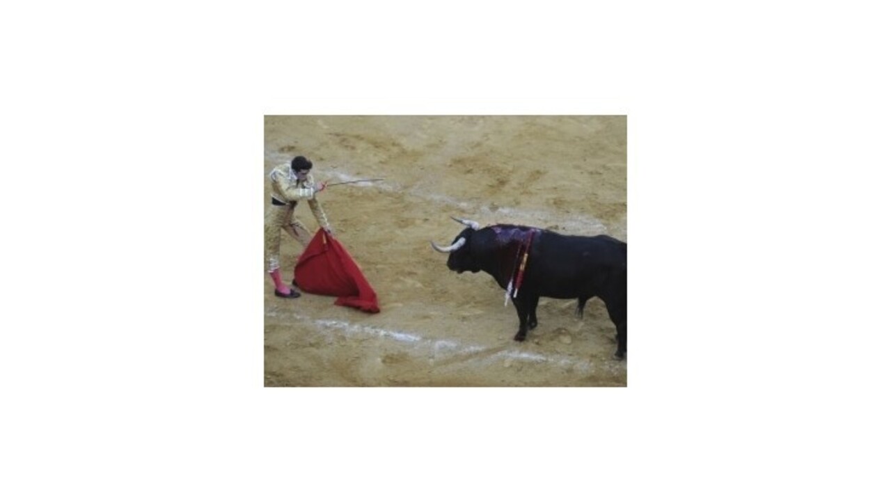 Naživo vysielané býčie zápasy sa vrátili na španielske obrazovky