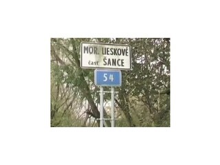 Referendom rozhodnú o starostovi v Moravskom Lieskovom
