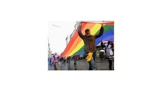 Partnerstvo gayov je v Česku stálejšie než manželstvo
