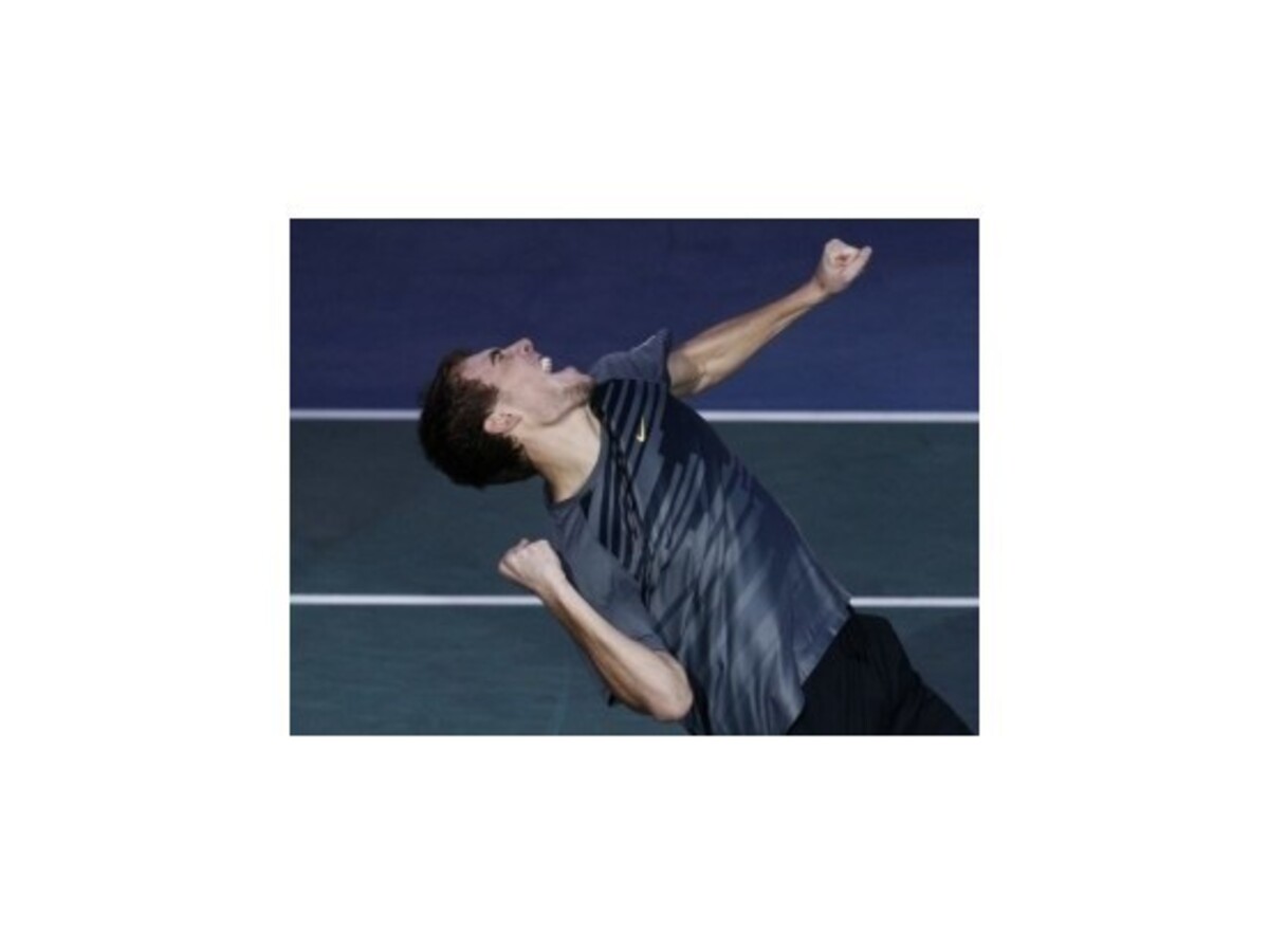 V Paríži sa v boji o titul stretnú Ferrer a Janowicz