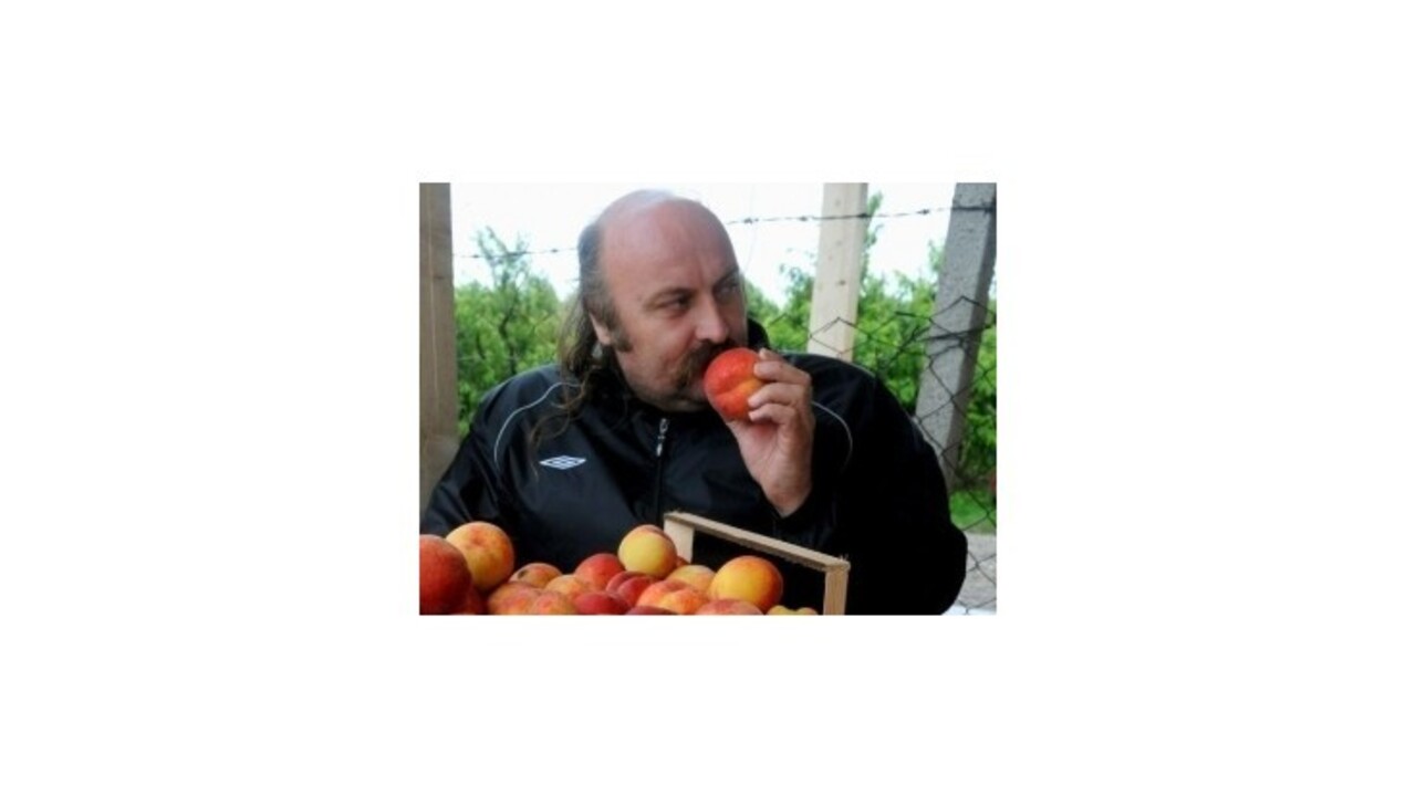 Svedok z Maďarska je kúpený, tvrdí Vareha