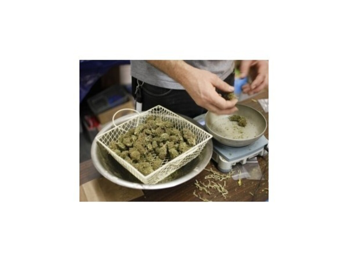 V časti USA popri voľbách zlegalizovali marihuanu