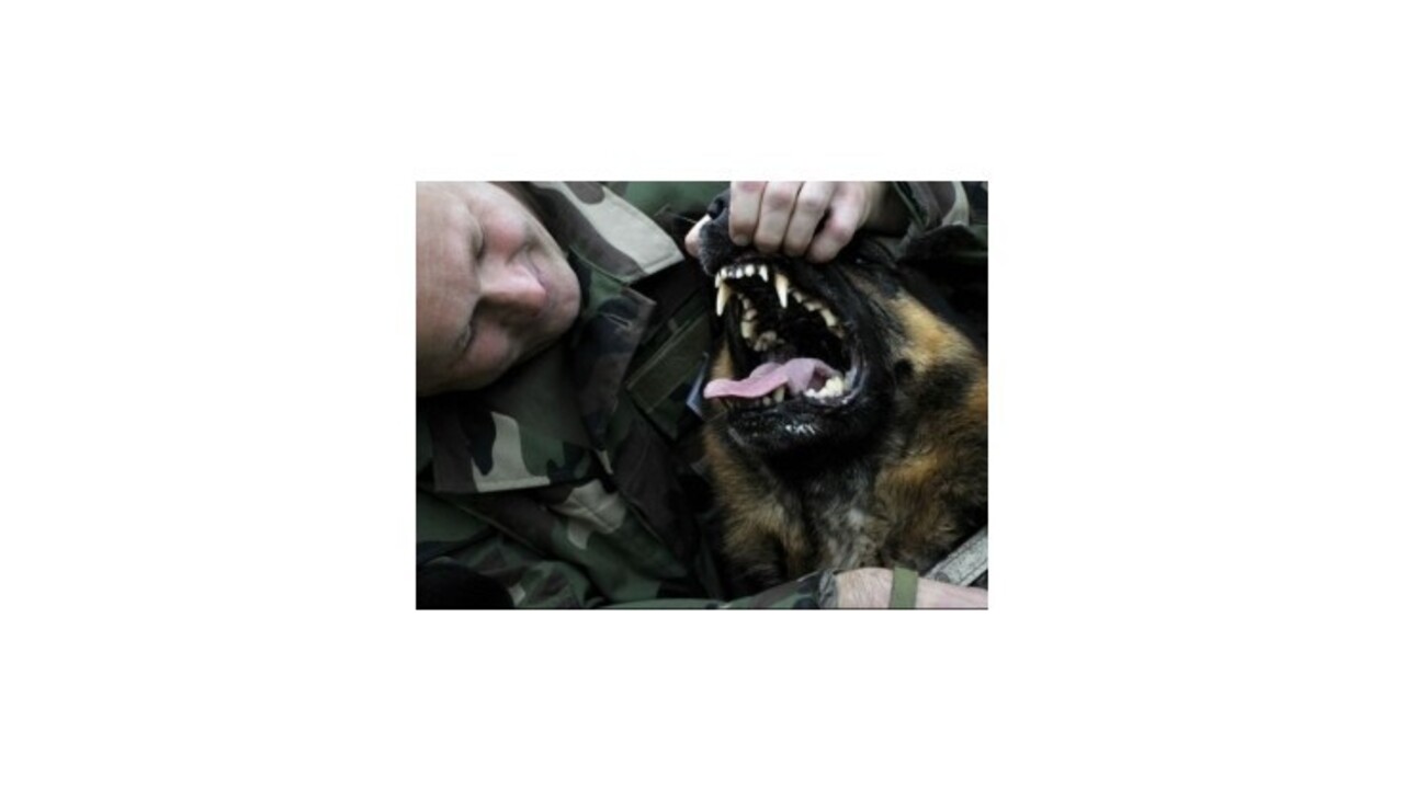 Policajné psy dostanú veterinárov za stotisíc