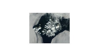 Začalo sa nové kolo rozhovorov OSN o klíme