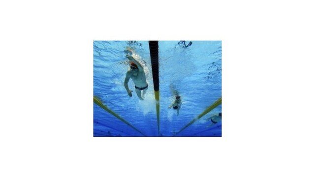 Športový súhrn 2012: Plávanie