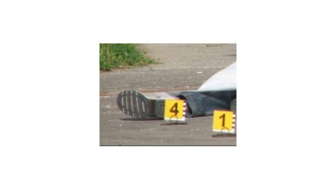 V dvoch českých okresoch sa strieľalo