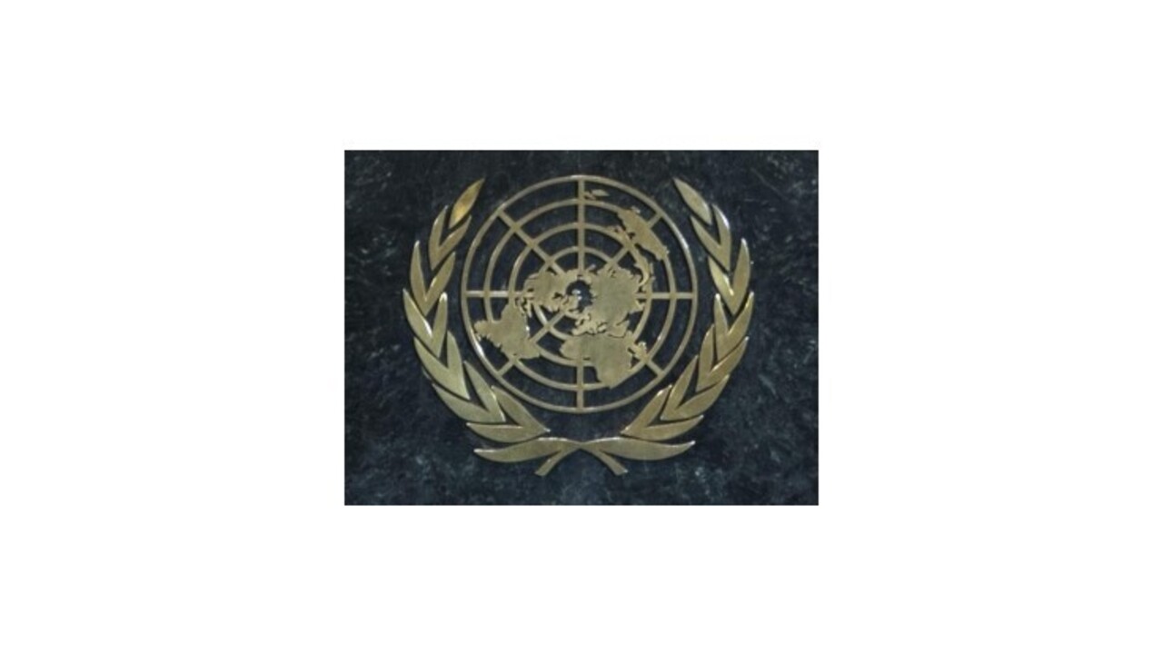 Pred 20 rokmi nás prijali do Organizácie spojených národov