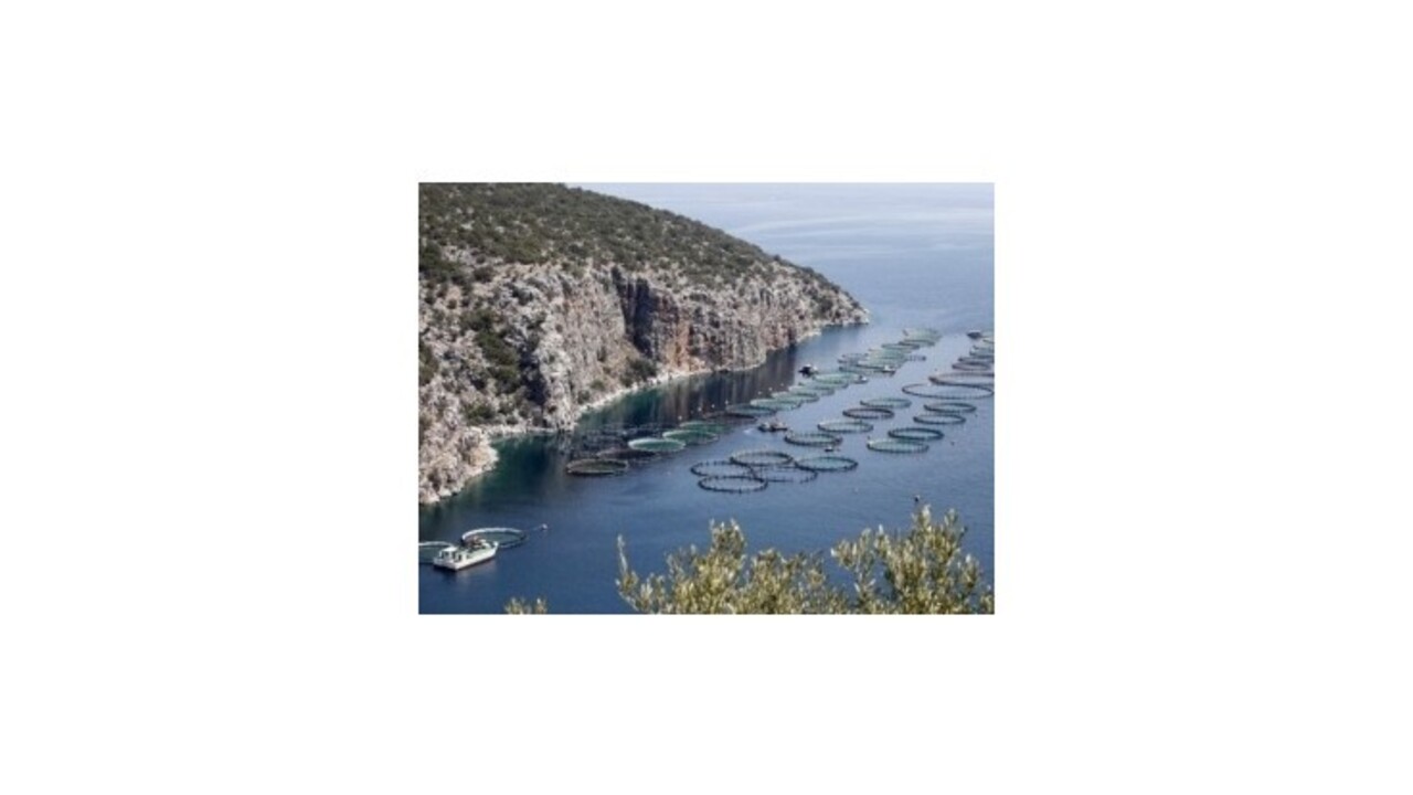 Na juh Európy dorazilo jarné počasie, teploty presahujú 20 stupňov