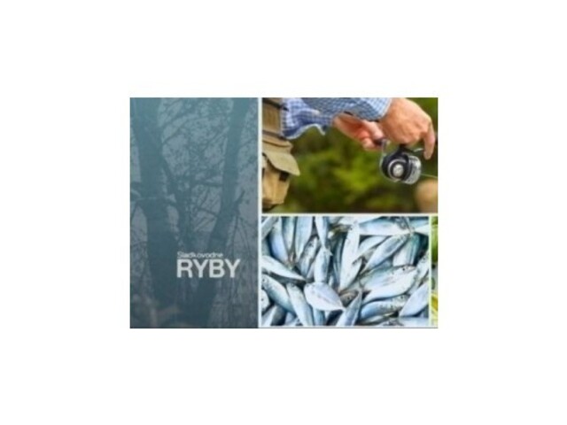Sladkovodné ryby – Šťuka