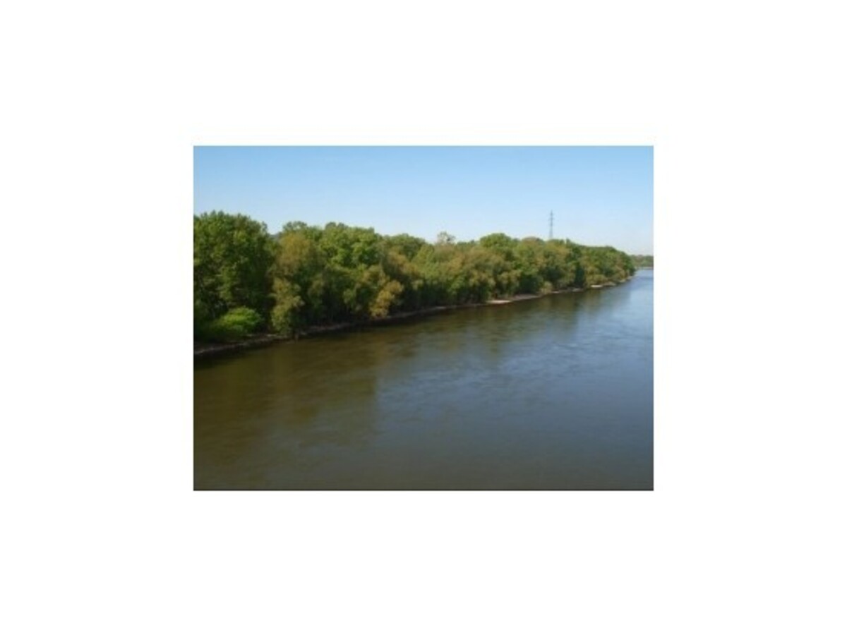 Štát napadol čudnú zámenu pozemkov Pečnianskeho lesa v Bratislave
