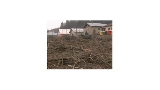 Lužné lesy v Kotešovej vyrúbali protizákonne