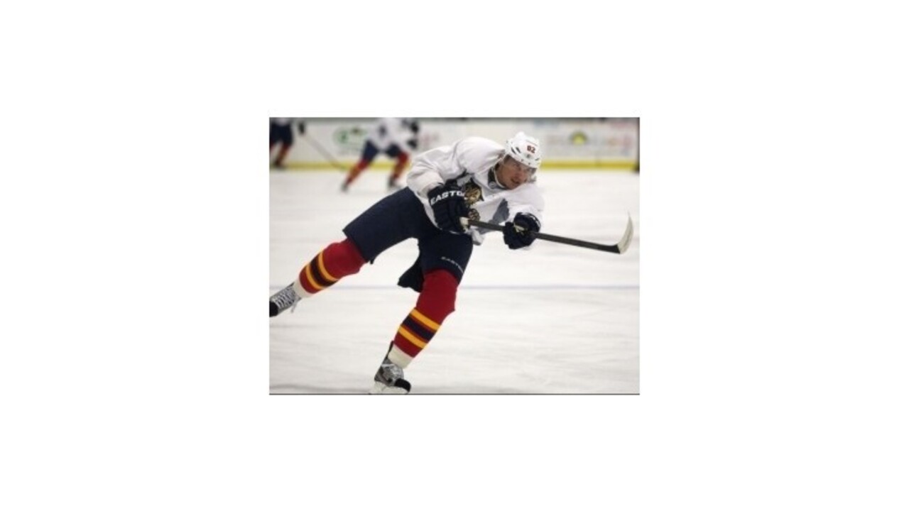 Kopecký a Sekera si v noci na piatok vylepšili bodovanie, Hossa pre zranenie vynechal zápasy