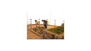 Po exhumácii chcú zistiť ako zomrel básnik Pablo Neruda