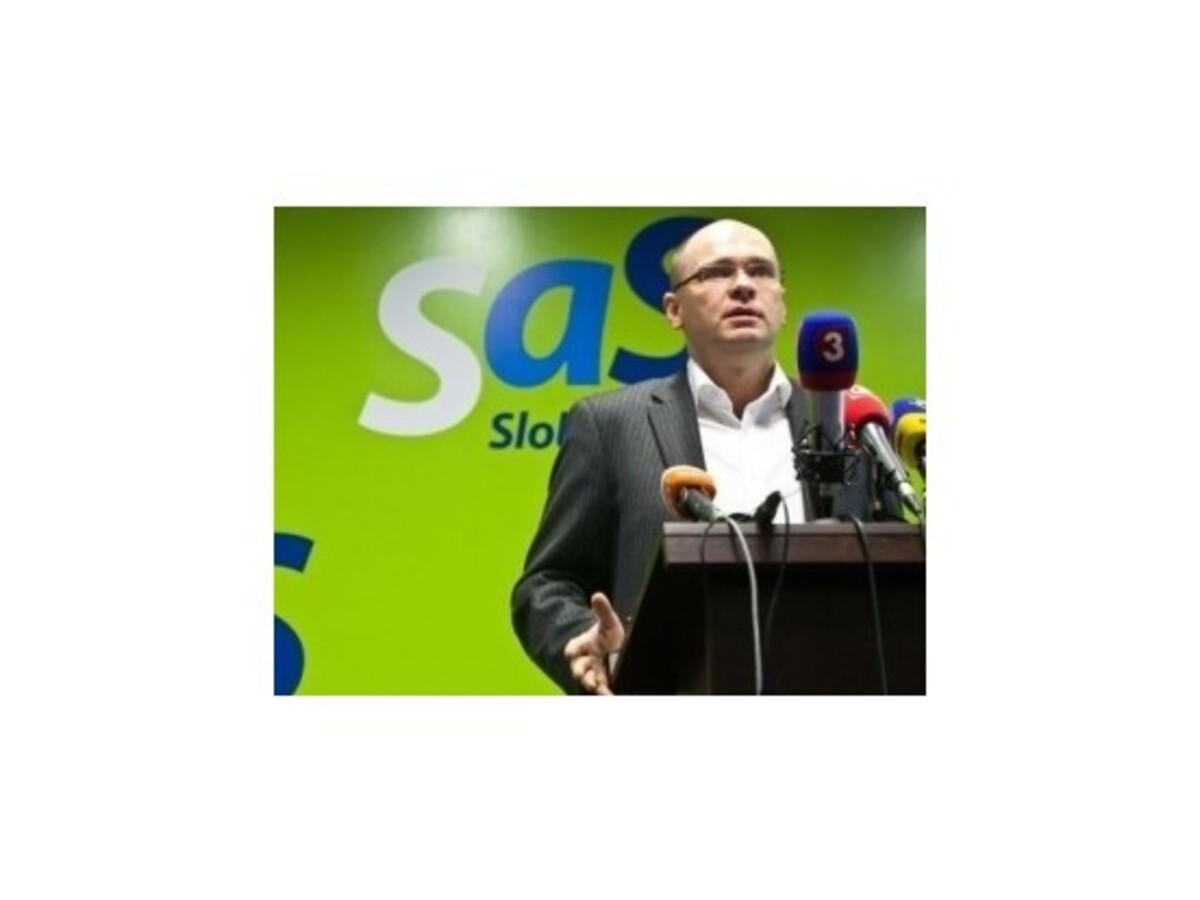 SaS vymenovala 5 regionálnych šéfov, odchod členov sa vraj zastavil