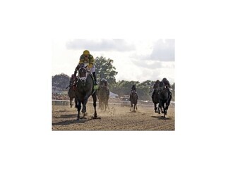 Palace Malice víťazom klasických Belmont Stakes