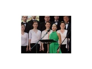 Za vystúpenia na Devíne dostali umelci tisícové odmeny