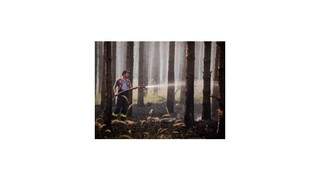 Požiar pri Veľkých Levároch zrejme spôsobili iskry z kolies vlaku