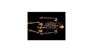 Rodina kráľa Richarda III. sa súdi o miesto jeho pochovania