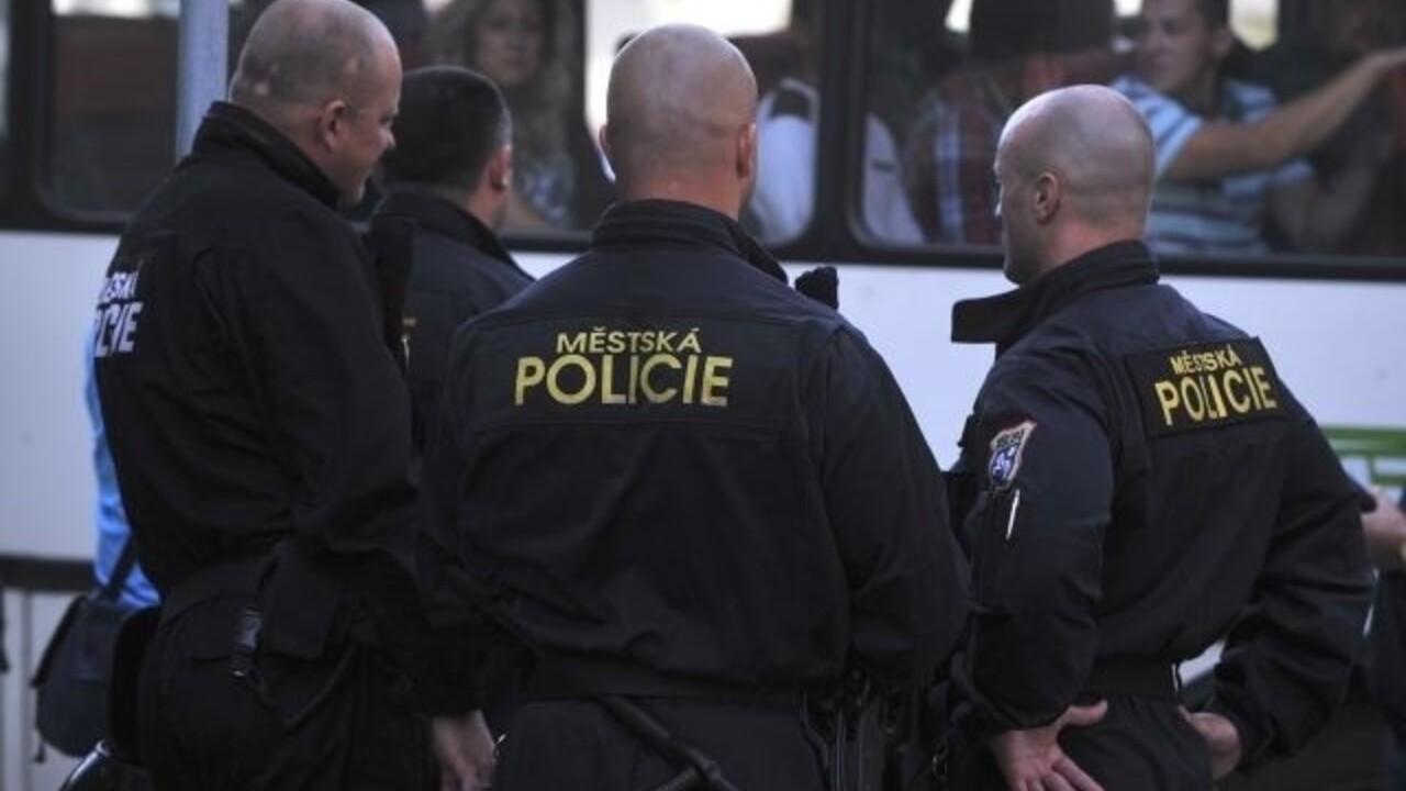 česko policia (CTK)