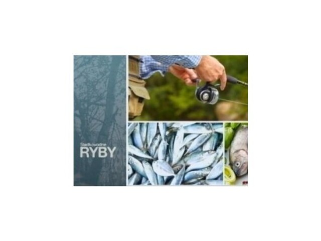 Sladkovodné ryby - Amur