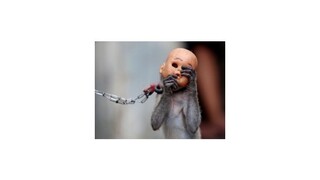 Najzaujímavejšie fotografie týždňa