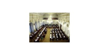 Česi podpredsedu Snemovne nezvolili