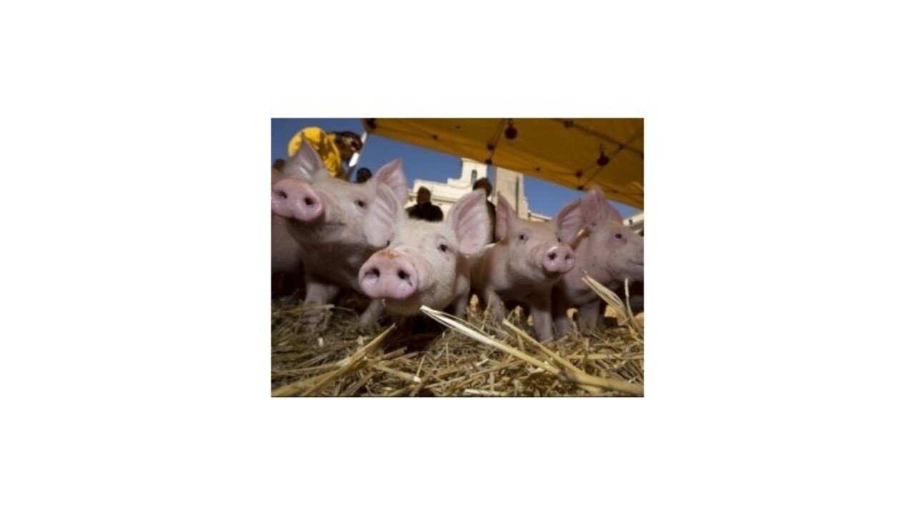 Nespokojní Taliani ochromili cestnú a železničnú dopravu