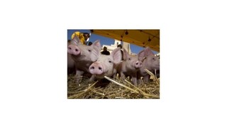 Nespokojní Taliani ochromili cestnú a železničnú dopravu