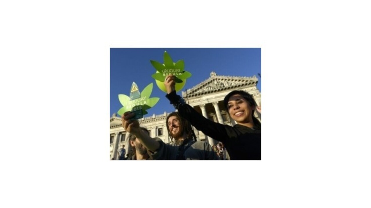 Uruguaj ako prvý na svete zrejme zlegalizuje marihuanu