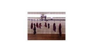 Vo Francúzsku sa zatýkalo za mäso z testovaných koní v potravinách