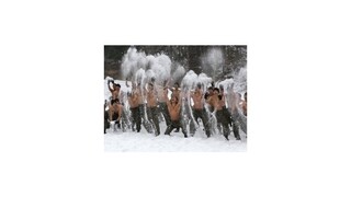 Najzaujímavejšie fotografie týždňa