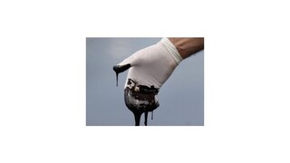 Odvolací súd potvrdil rozsudok sudcu v prípade úniku ropy v Mexickom zálive