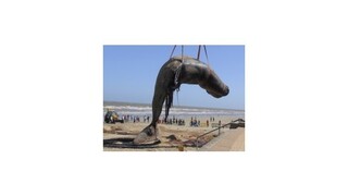 Najzaujímavejšie fotografie týždňa