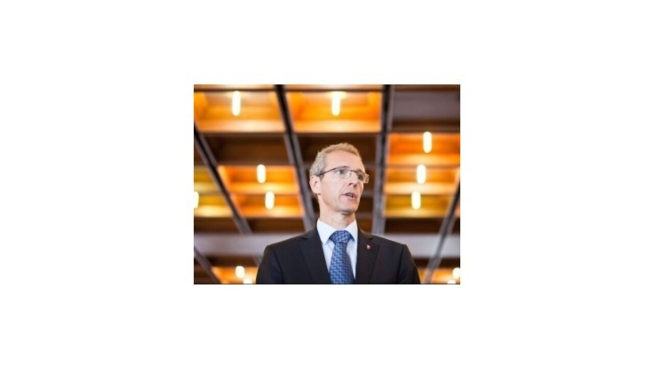 SDKÚ-DS do eurovolieb povedú Štefanec a Kukan