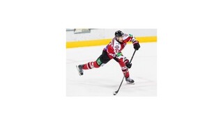 Doneck odohrá svoje domáce zápasy semifinále v Bratislave